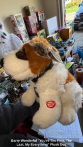 Barry-Wonderful-Youre-The-First-The-Last-My-Everything-Plush-Dog-third-image