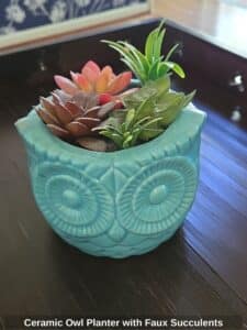 Ceramic-Owl-Planter-with-Faux-Succulents