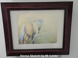 Horse-Sketch-by-M.-Lentz