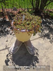 Novelty-Garden-Planter-with-Flip-Flop-Feet