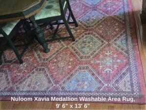 Nuloom-Xavia-Medallion-Washable-Area-Rug-x-