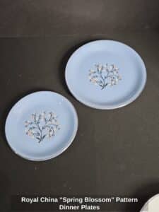 Royal-China-Spring-Blossom-Pattern-Dinner-Plates