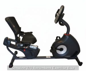 Schwinn-Recumbent-Exercise-Bike