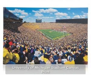 University-of-Michigan-Stadium-Canvas-Print-third-image