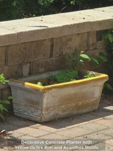 Decorative-Concrete-Planter-with-Yellow-Ochre-Rim-and-Acanthus-Motifs