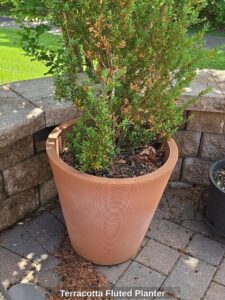 Terracotta-Fluted-Planter