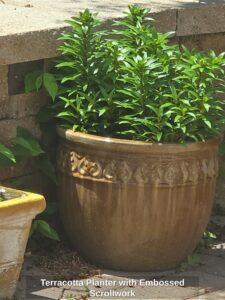 Terracotta-Planter-with-Embossed-Scrollwork