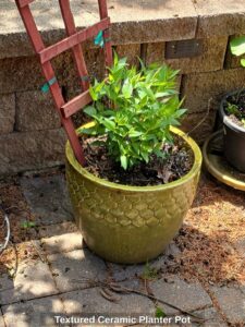 Textured-Ceramic-Planter-Pot