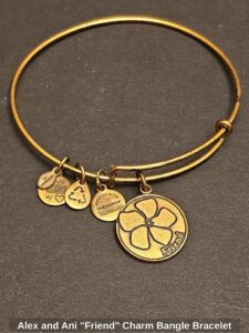 Alex-and-Ani-Friend-Charm-Bangle-Bracelet