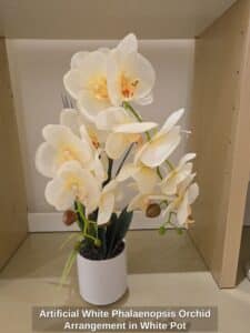 Artificial-White-Phalaenopsis-Orchid-Arrangement-in-White-Pot