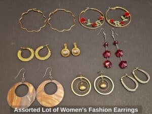 Assorted-Lot-of-Womens-Fashion-Earrings