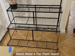 Black-Metal-Tier-Plant-Stand