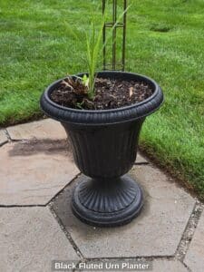 Black-Fluted-Urn-Planter