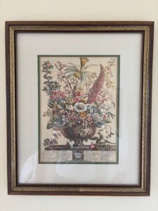 Botanical-Print-December-by-Robert-Furber