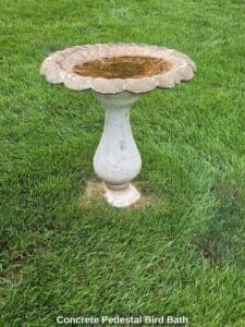 Concrete-Pedestal-Bird-Bath