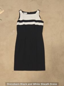 Dressbarn-Black-and-White-Sheath-Dress