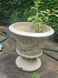 Large-Fluted-Garden-Urn-Planter-with-Pedestal-Base