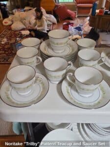 Noritake-Trilby-Pattern-Teacup-and-Saucer-Set