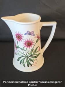 Portmeirion-Botanic-Garden-Gazania-Ringens-Pitcher