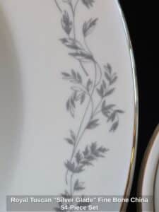 Royal-Tuscan-Silver-Glade-Fine-Bone-China-Piece-Set-third-image