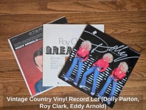 Vintage-Country-Vinyl-Record-Lot-Dolly-Parton-Roy-Clark-Eddy-Arnold