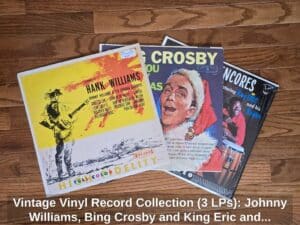 Vintage-Vinyl-Record-Collection-LPs-Johnny-Williams-Bing-Crosby-and-King-Eric-and-his-Knights