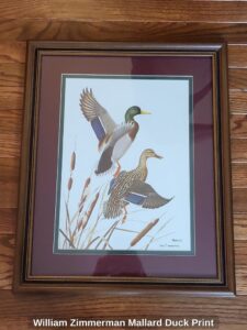 William-Zimmerman-Mallard-Duck-Print