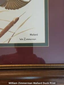 William-Zimmerman-Mallard-Duck-Print-second-image