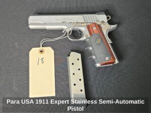 Para-USA-Expert-Stainless-Semi-Automatic-Pistol