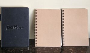 20260324_110608_inPixio