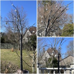 Photo-Collage-Maker_2026_03_31_05_45_19