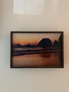 IMG_4041