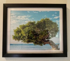 IMG_4064_inPixio