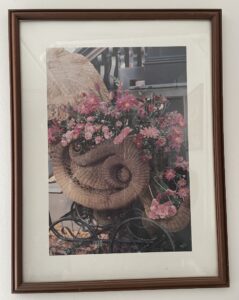 IMG_4338_inPixio