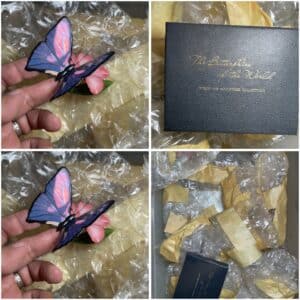 Photo-Collage-Maker_2026_09_05_01_05_20