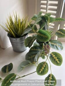 Artificial-Red-Prayer-Plant-and-Grass-Arrangement-in-Galvanized-Bucket