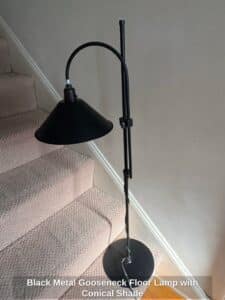 Black-Metal-Gooseneck-Floor-Lamp-with-Conical-Shade-1