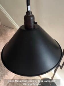 Black-Metal-Gooseneck-Floor-Lamp-with-Conical-Shade-second-image-1