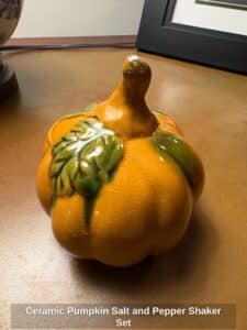 Ceramic-Pumpkin-Salt-and-Pepper-Shaker-Set-second-image-1