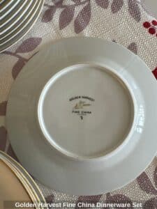 Golden-Harvest-Fine-China-Dinnerware-Set-third-image
