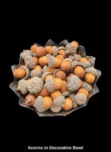 Acorns-in-Decorative-Bowl