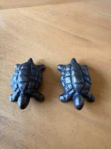Cast-Iron-Turtle-1