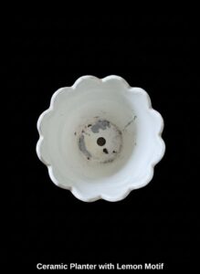 Ceramic-Planter-with-Lemon-Motif-second-image