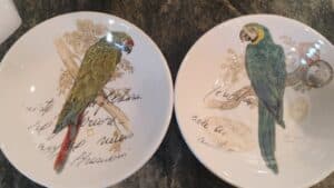 Decorative-Ceramic-Plates-with-Macaw-Design-and-Vintage-Postmarks-1