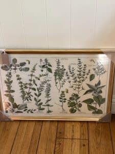 Vintage-Adolphe-Millot-Botanical-Print-Wall-Art
