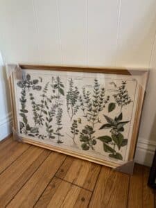 Vintage-Adolphe-Millot-Botanical-Print-Wall-Art-second-image