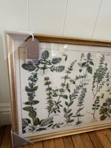 Vintage-Adolphe-Millot-Botanical-Print-Wall-Art-third-image