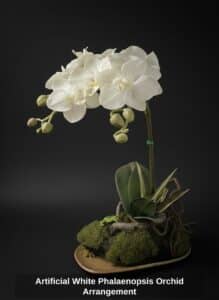 Artificial-White-Phalaenopsis-Orchid-Arrangement-1
