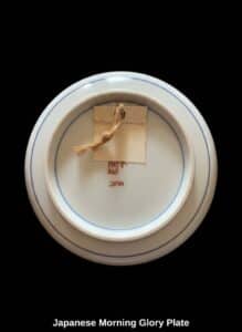 Japanese-Morning-Glory-Plate-second-image