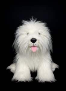 Animal-Alley-Old-English-Sheepdog-Plush-Toy-second-image